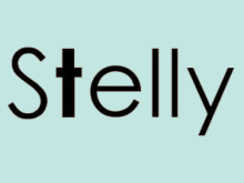 Stelly boutique sales