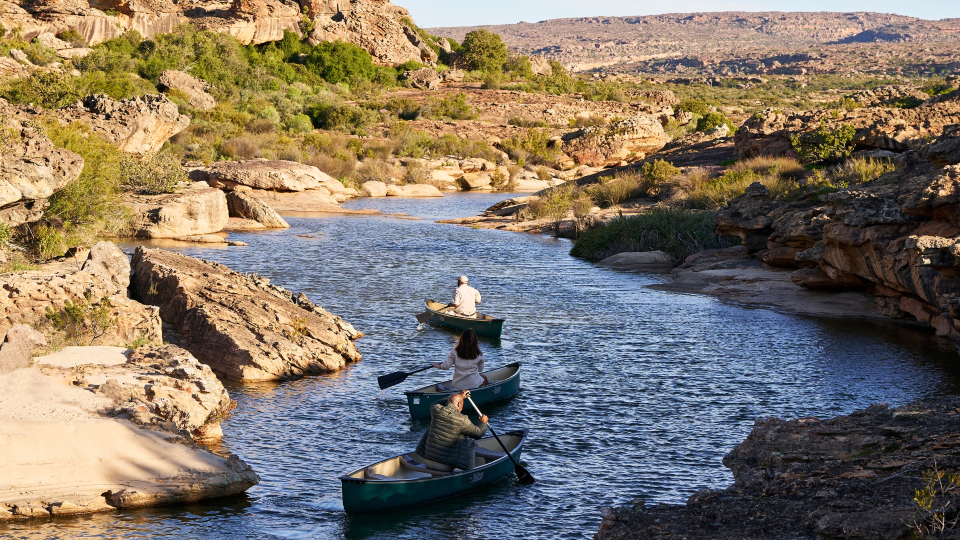 A Journey Through South Africa’s Culture, Wine & Wilderness